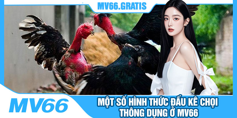 Một Số Hình Thức Đấu Kê Chọi Thông Dụng Ở MV66