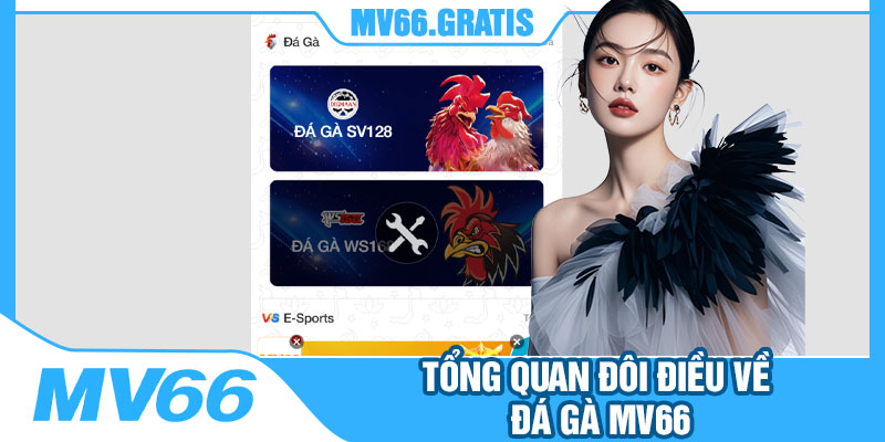 Tổng Quan Đôi Điều Về Đá Gà MV66